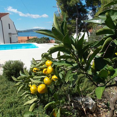טרוגיר Apartments Villa Goja חדר תמונה