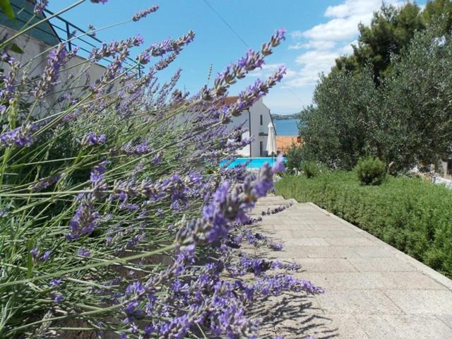 טרוגיר Apartments Villa Goja חדר תמונה