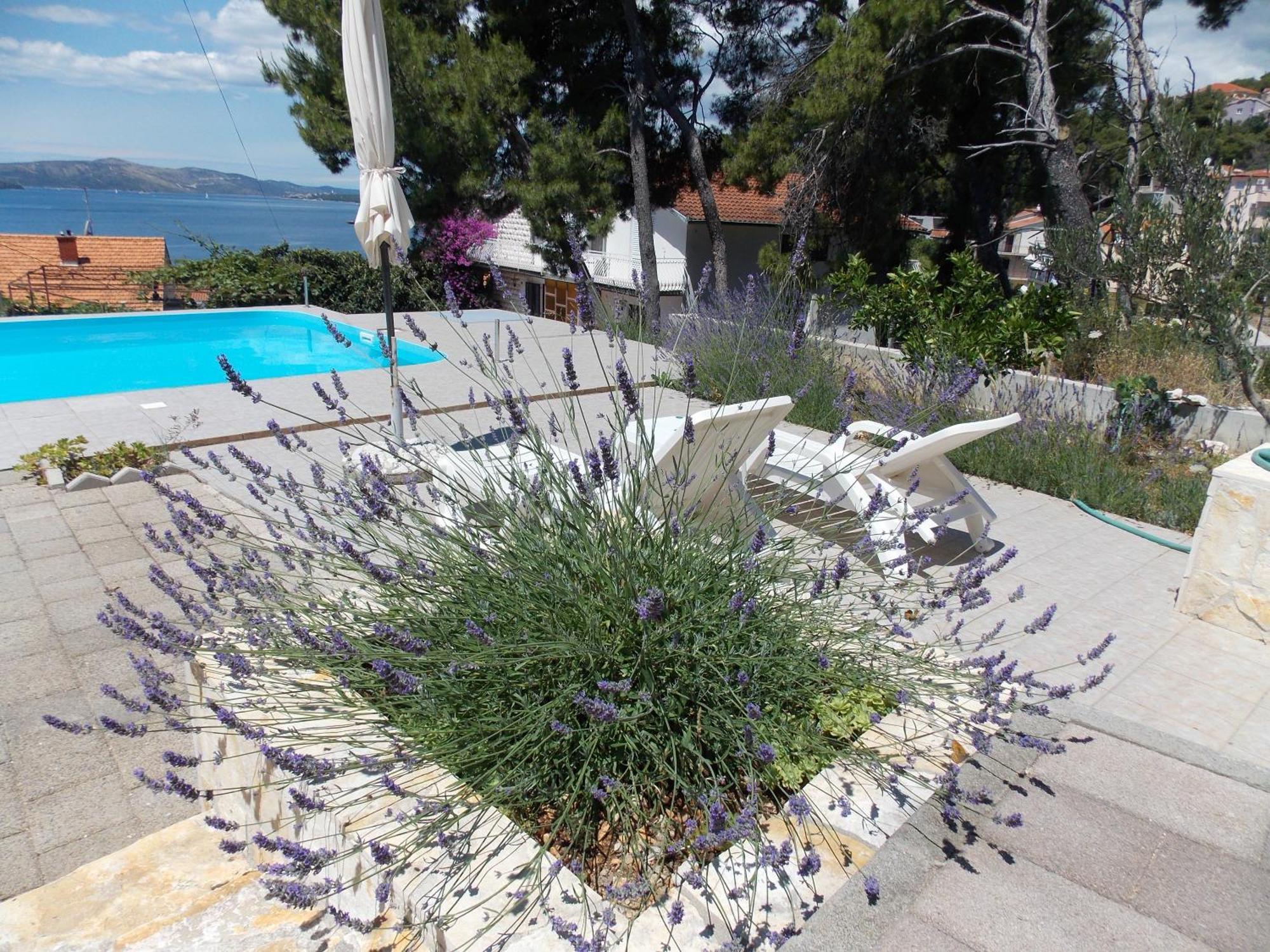 טרוגיר Apartments Villa Goja חדר תמונה